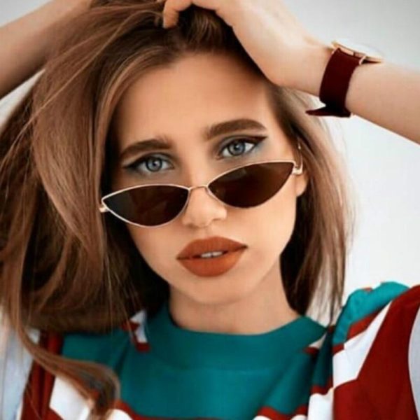 Cat Eye Fashionable Women Sunglasses Retro Sunglasses for Women Supply
