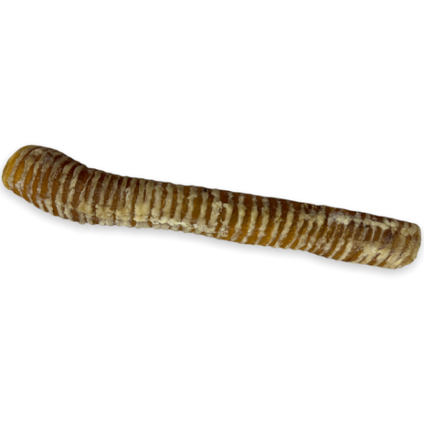 Chasing Our Tails Beef Trachea For Cheap - Image 2