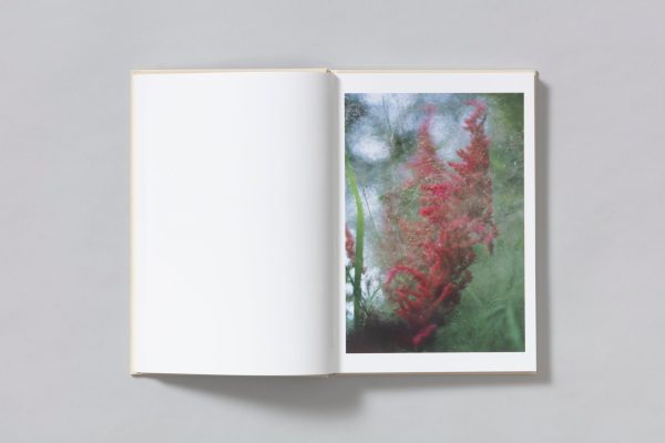 A Season Particular | Shen Wei Online Hot Sale - Image 5